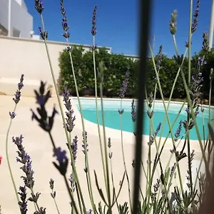 Falso Pepe Casa vacanze